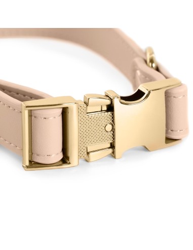 Synthetic leather dog collar with metal buckle - Record