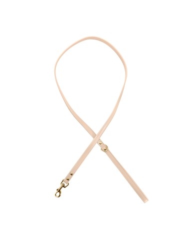 Synthetic Leather Dog Leash - Record