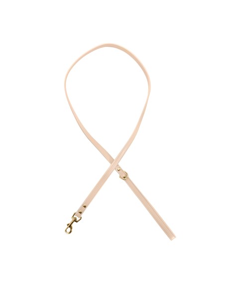 Synthetic Leather Dog Leash - Record