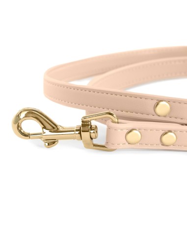 Synthetic Leather Dog Leash - Record