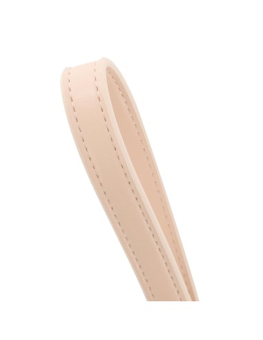 Synthetic Leather Dog Leash - Record