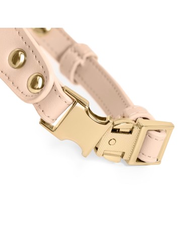 Pettorina per cani in similpelle - Record