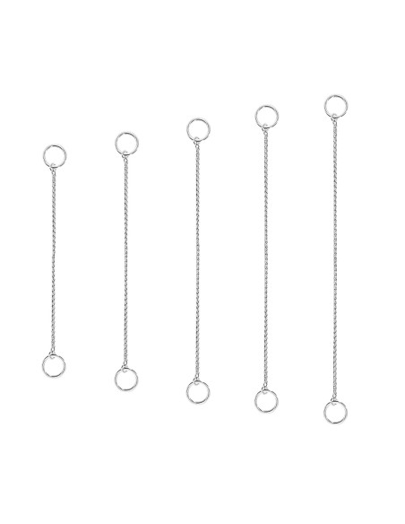 Dog collar with thin snake chain choke - Record