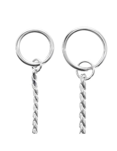 Dog collar with thin snake chain choke - Record