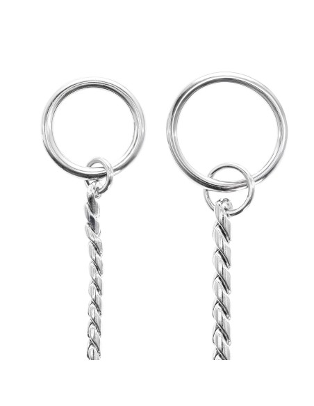 Dog collar with thick snake chain choke - Record