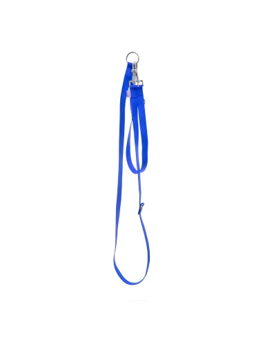 Dog training leash with double snap hook - Record