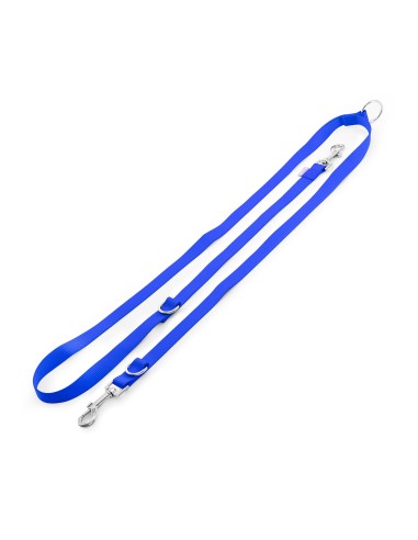 Dog training leash with double snap hook - Record