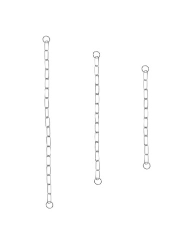 Dog collar with long choke chain - Record