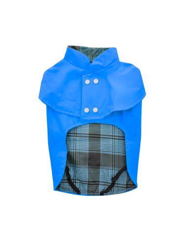Paddington dog raincoat - Record