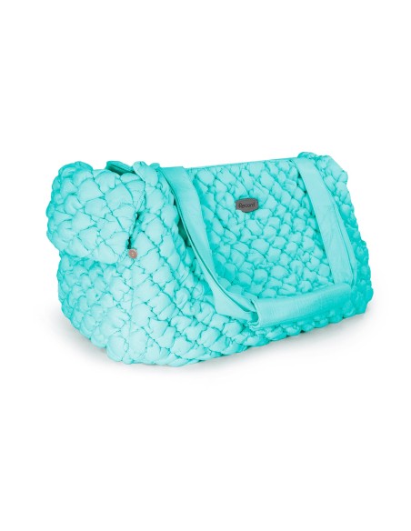 Cloud pet carrier - Record