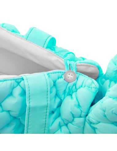 Cloud pet carrier - Record