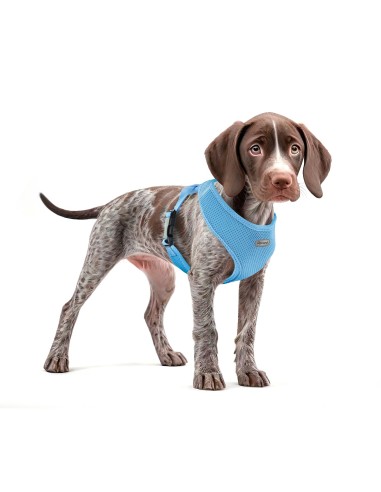 Dog harness Fast Dog - Record