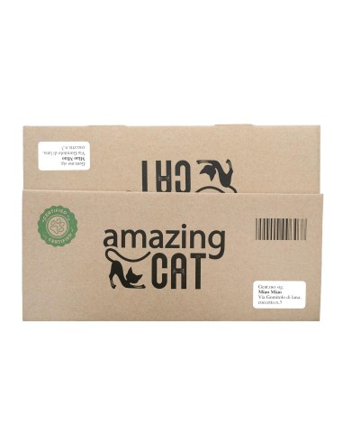 Box cardboard cat scratcher with catnip - Record