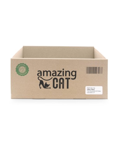 Box cardboard cat scratcher with catnip - Record