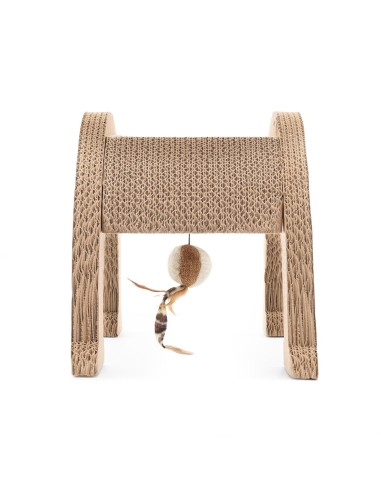 Rainbow cardboard cat scratcher with catnip - Record