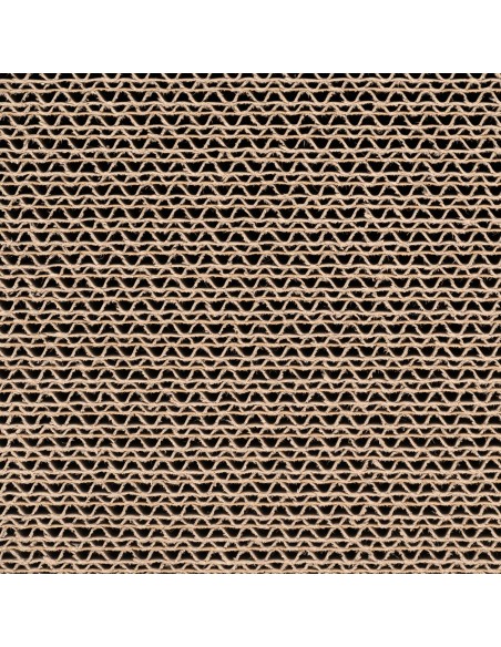 Cardboard cat scratcher with balls - Record