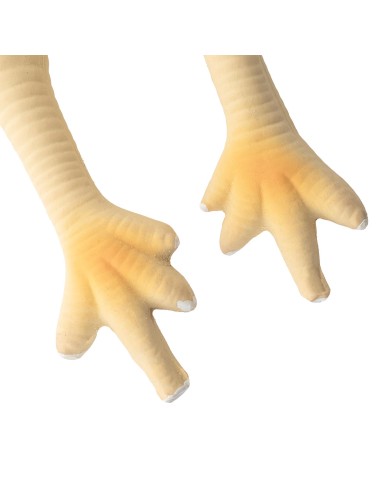 Dog latex toy with squeaker Chicken - Record