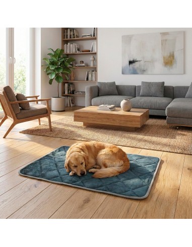 Self warming mat - Record