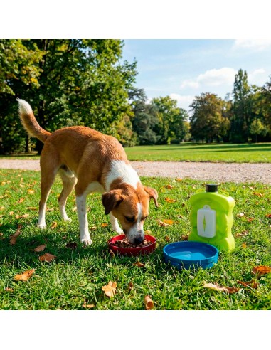 Aquacroc multi-purpose water bottle with built-in bowls and hygiene bag holder - Record