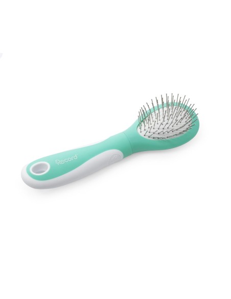 Spazzola con punte in acciaio al carbonio - Record