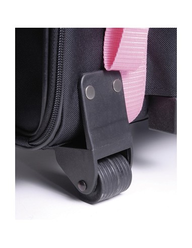 Trolley for transport of dogs and cats - Record