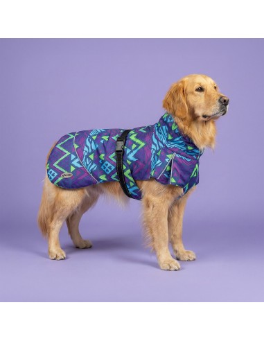"Elgon" Technical raincoat anti-wind for dogs - Record