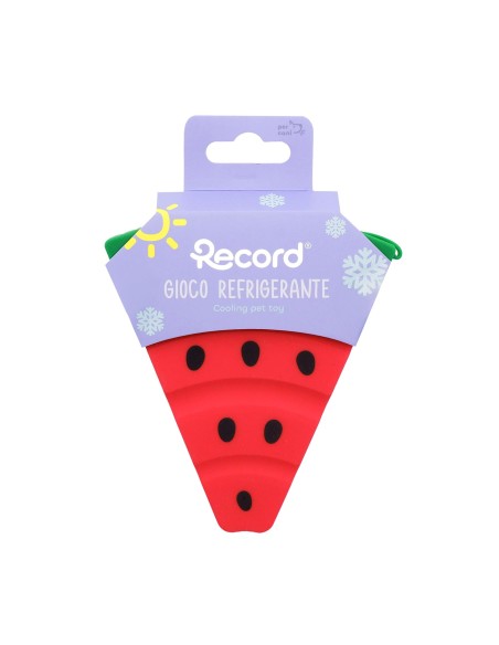 Silicone refreshing dog toy - Record