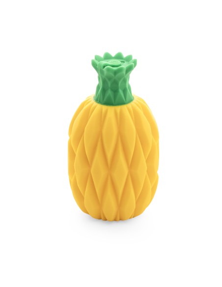 Silicone refreshing dog toy - Record