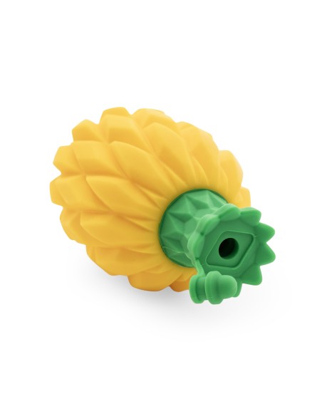 Silicone refreshing dog toy - Record