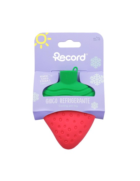 Silicone refreshing dog toy - Record