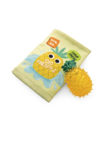 A refreshing fruit-shaped dog toy with a freshness bag - Record