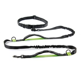 Jogging dog leash - Record