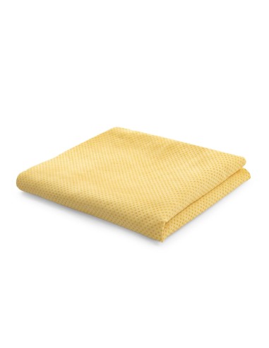"Dry dog" multipurpose absorbent cloth - Record