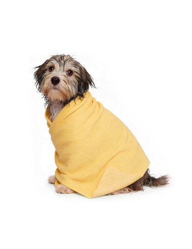 Panno multiuso assorbente Dry Dog - Record