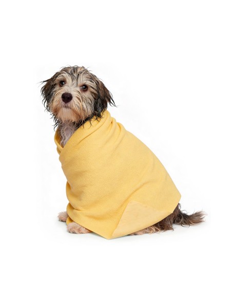 "Dry dog" multipurpose absorbent cloth - Record