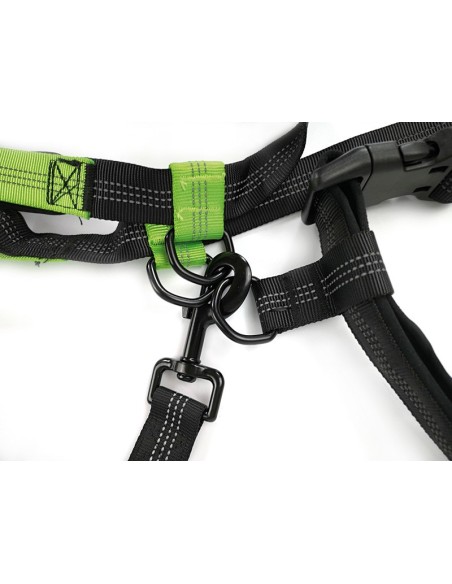 Jogging dog leash - Record