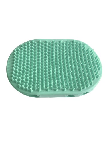 Soft rubber double palm brush - Record