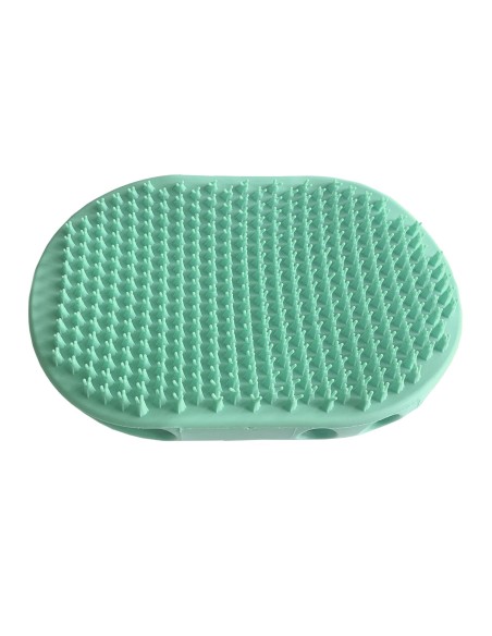 Soft rubber double palm brush - Record