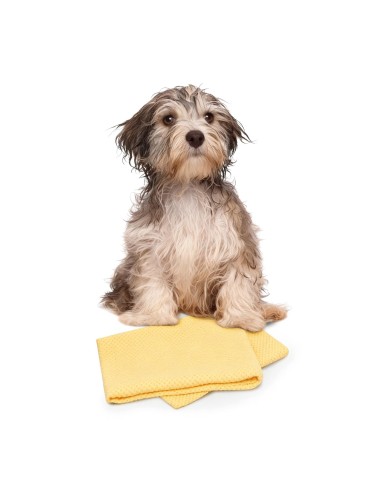 "Dry dog" multipurpose absorbent cloth - Record