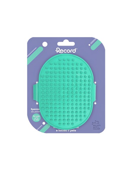Rubber palm brush - Record