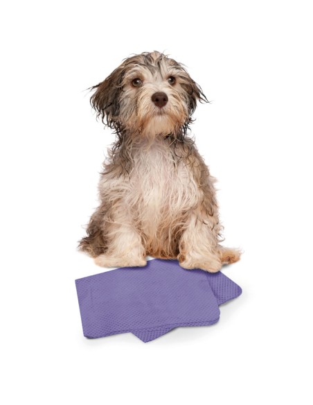"Dry dog" multipurpose absorbent cloth - Record