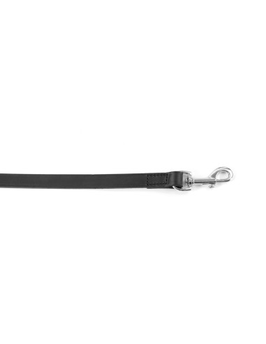 Calf leather dog leash - Record