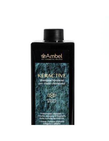 Ambel Keractive shampoo idratante per manti cheratinici - Record