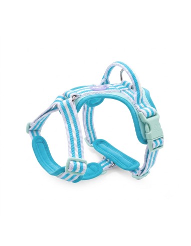 Ultra Light Dog Harness - Record