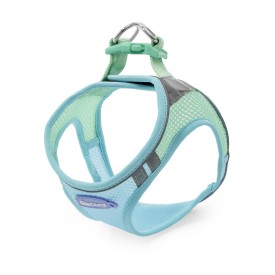Air Puppy dog harness - Record