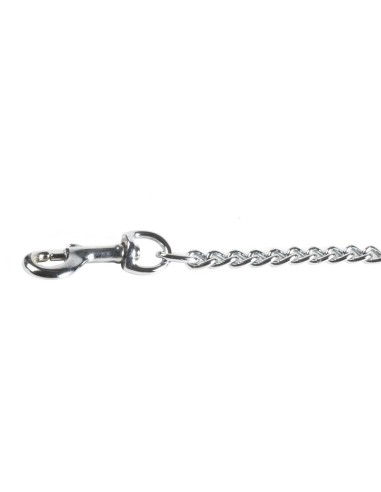 Triple plait leather leash with 60 cm steel chain - Record