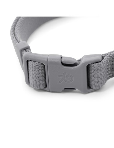 Cotton dog collar - Record