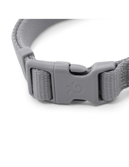 Cotton dog collar - Record