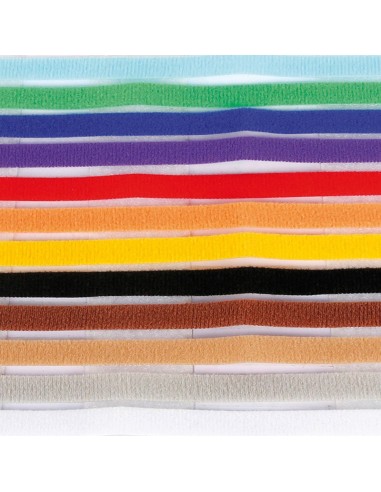 Set 12 litter collars - Record