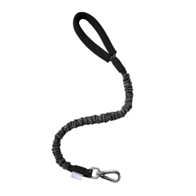 Antishock dog leash - Record